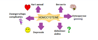 tekening wat  homocysteine kan veroorzaken